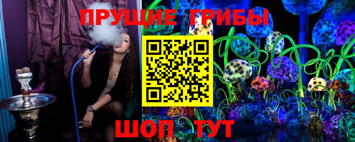 Псилоцибиновые грибы GOLDEN TEACHER Нефтекумск